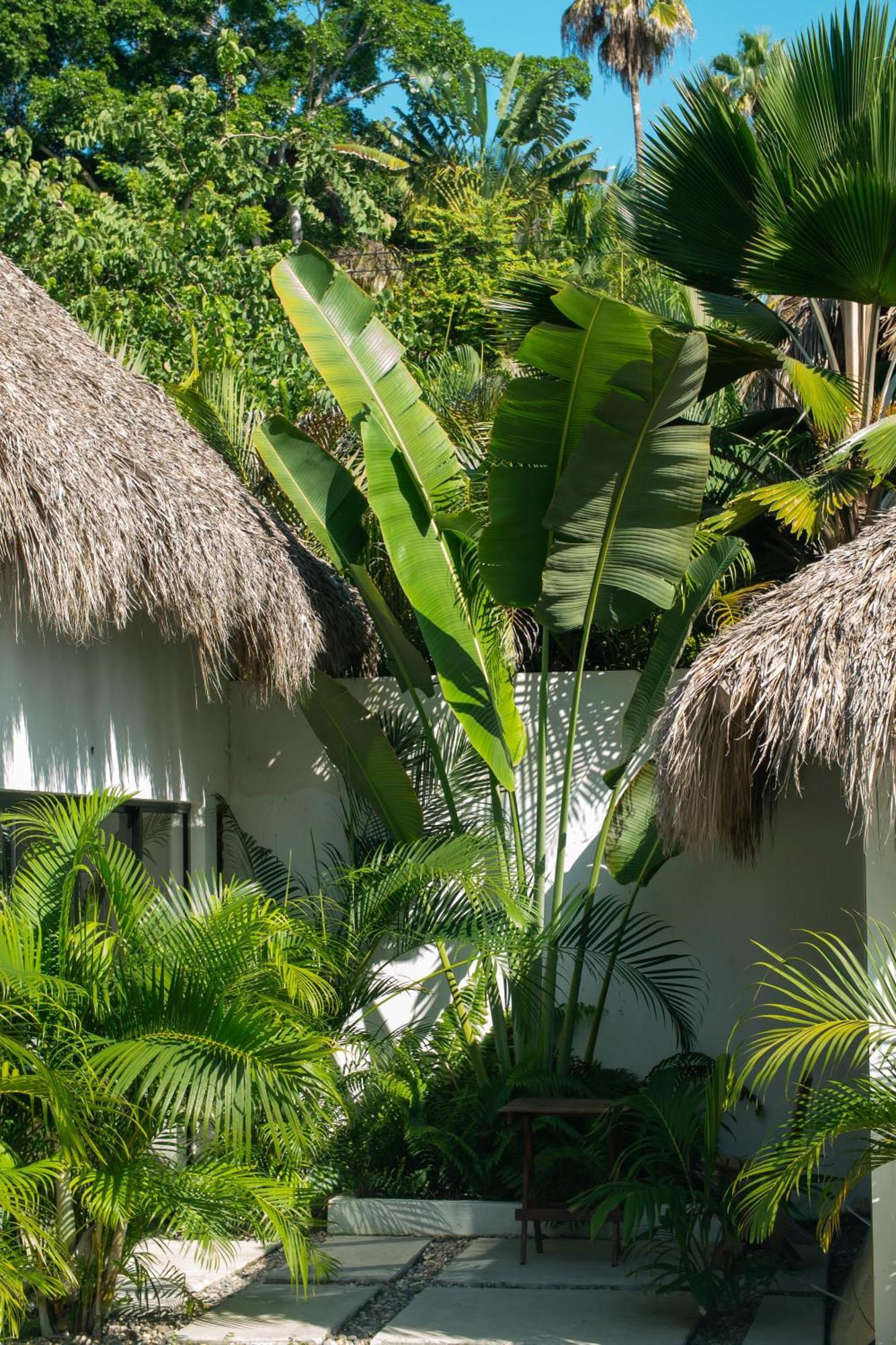 Sayulita Surf Bungalows Екстериор снимка